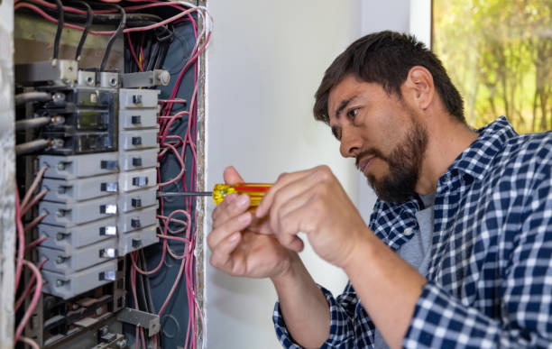 Best Ceiling Fan Installation Electrician  in Crookston, MN